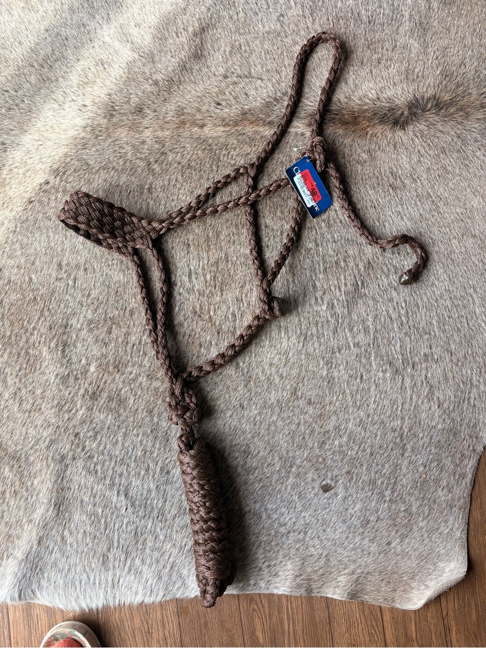 Mule tape halter chocolate